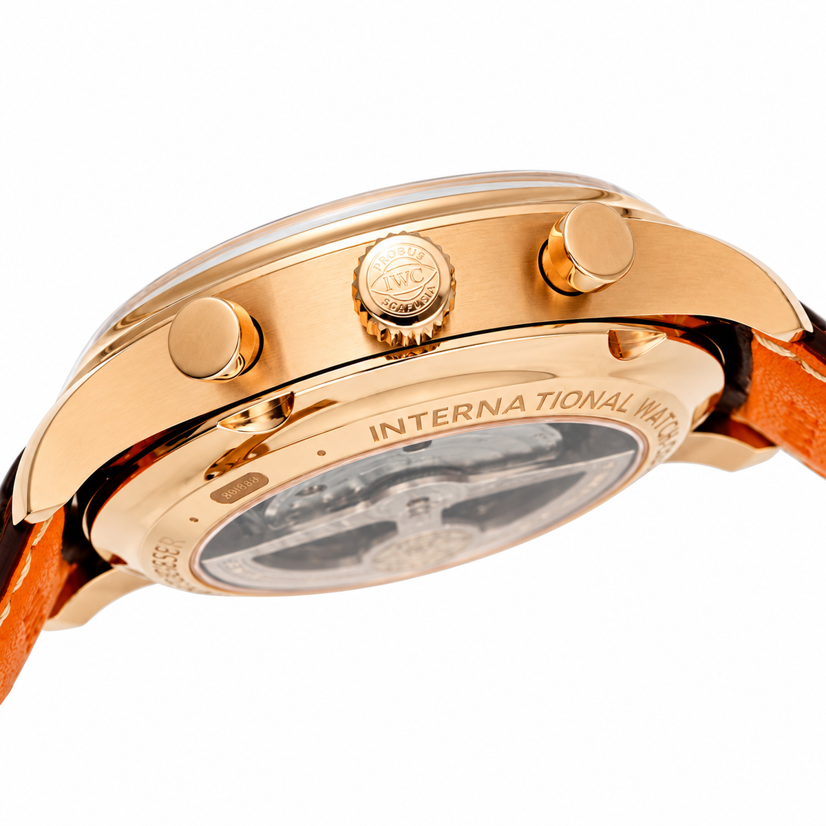 IWC Aquatimer 42mm Coral Reef Restoration Biologist Automatic Steel Watch