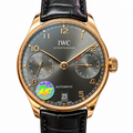 IWC Pilot's Watch 42.3mm Endangered Language Linguist Automatic Steel Watch
